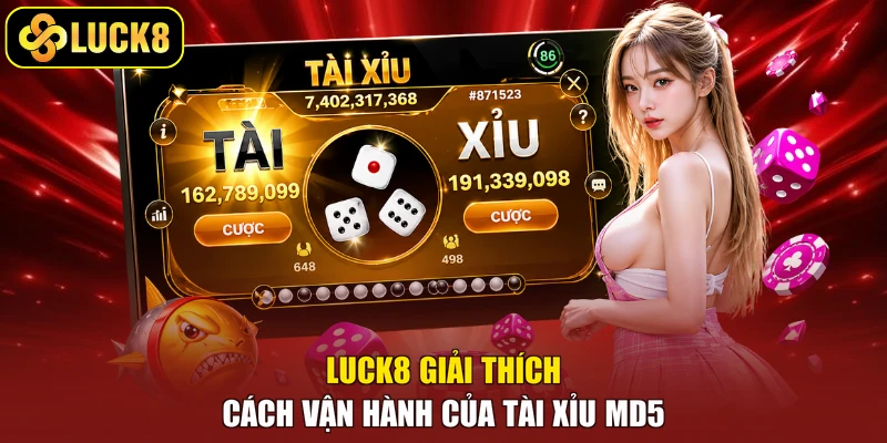 Luck8 giải thích cách vận hành của Tài Xỉu MD5